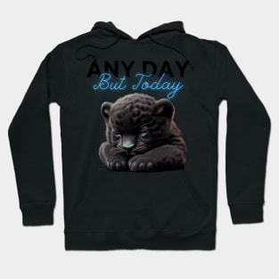 Any Day Cat Hoodie